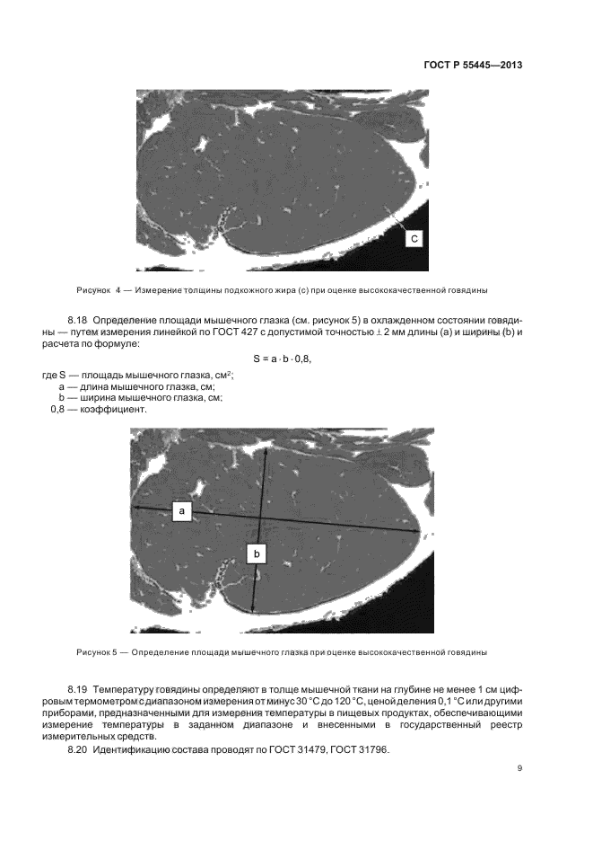 ГОСТ Р 55445-2013,  13.
