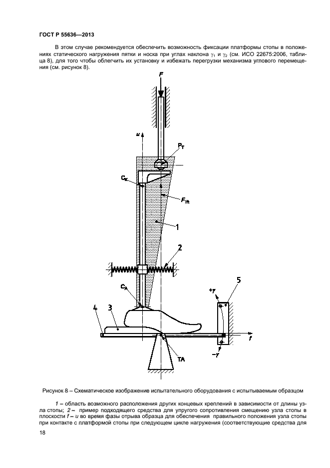   55636-2013,  24.