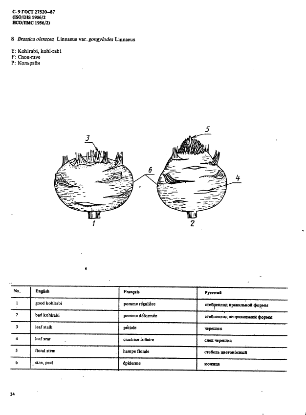  27520-87,  9.