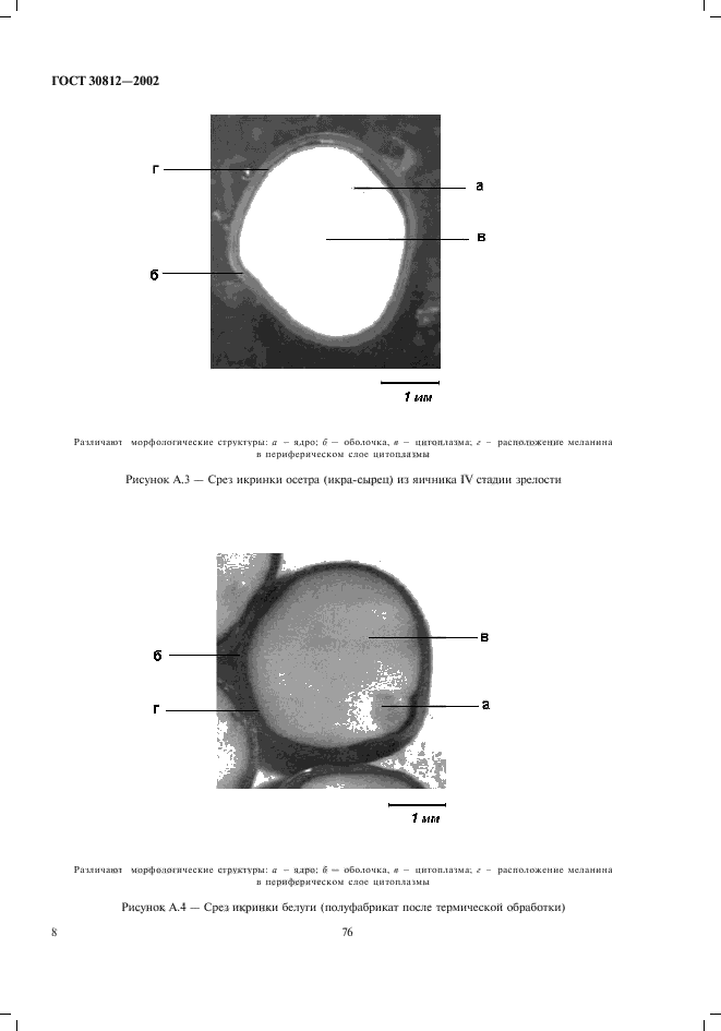 ГОСТ 30812-2002,  10.