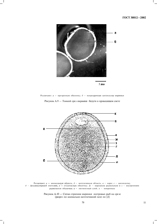 ГОСТ 30812-2002,  13.